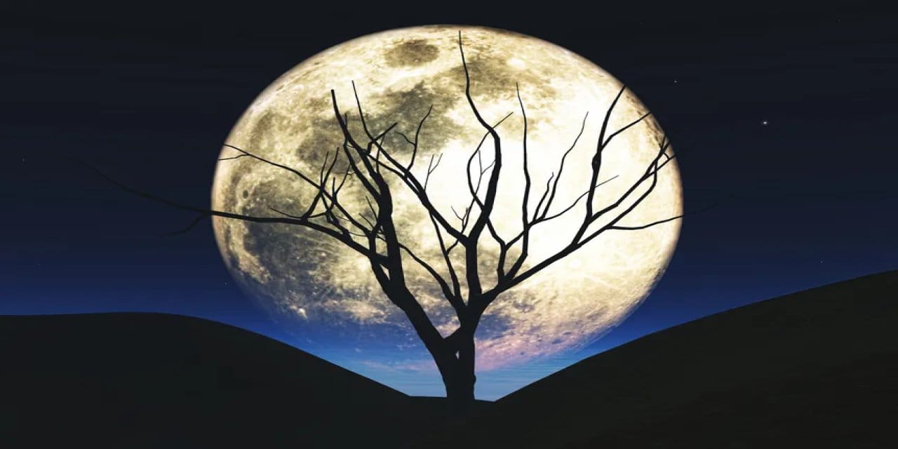 5 kasimda boga burcundaki dolunay neler geliyor neler gidiyor Fwf8ejbi.jpg