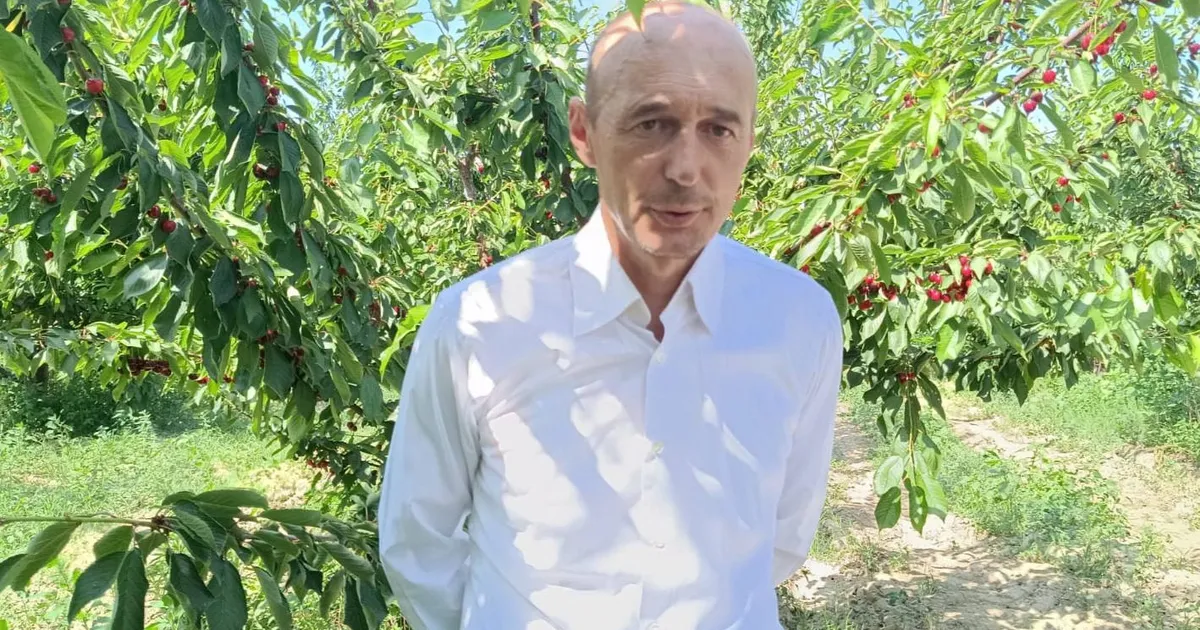 enezde kiraz bahcelerine res koyluleri ayaga kaldirdi LfzIntjb.webp