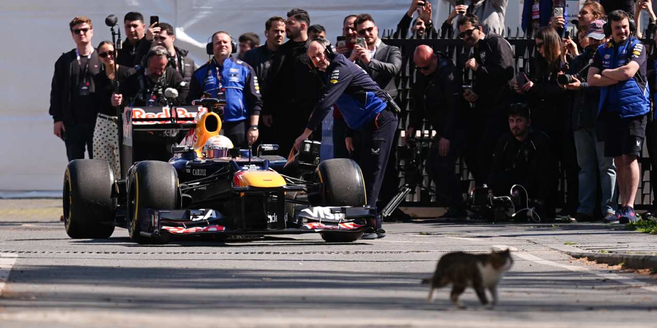 İstanbul Sokaklarında Formula 1 Heyecanı: Startı Kedi Verdi!