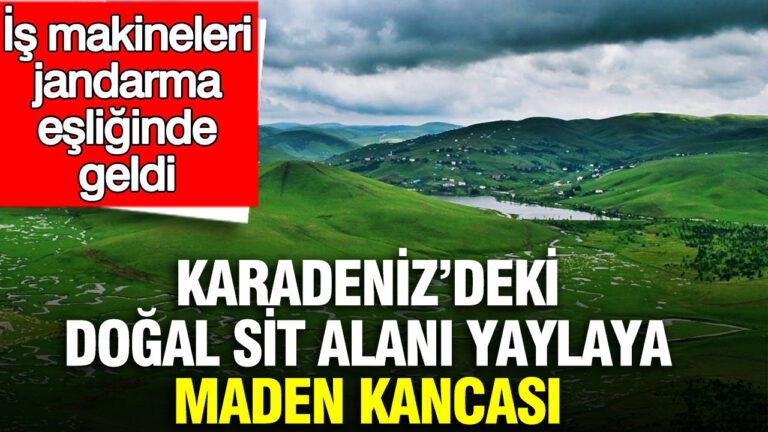 karadenizdeki-dogal-sit-alani-yaylaya-maden-kancasi-is-makineleri-jandarma-esliginde-geldi-ljnPTDSx
