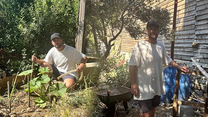 Bulaşık suyundan domates yetiştiriyor! ‘Çamaşır makinesini güneşli havada çalıştırıyorum’