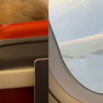 Istanbul ucaginda panik anlari firtinaya havada yakalandilar VFLyQtuN